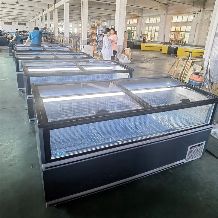 Curved Glass Display Freezer